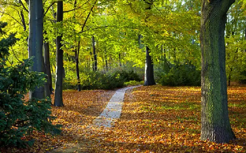 12 thành phố nhất định phải ghé thăm năm 2016 11 12-thanh-pho-nhat-dinh-phai-ghe-tham-2016-wanderlusttips6