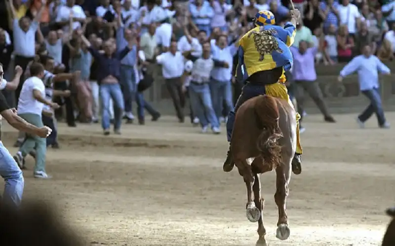 12 thành phố nhất định phải ghé thăm năm 2016 12 12-thanh-pho-nhat-dinh-phai-ghe-tham-2016-wanderlusttips7