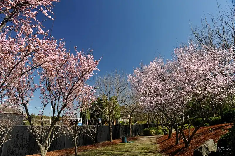 6-diem-den-tet-wanderlusttips1