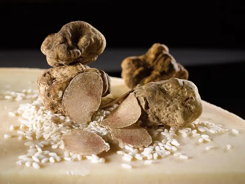 9-thuc-pham-sieu-dat-wanderlusttips2