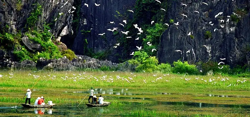 Du ngoạn những địa danh Việt Nam có mặt trong “Kong: Skull Island" 7 Boi canh phim Kong-wanderlusttips