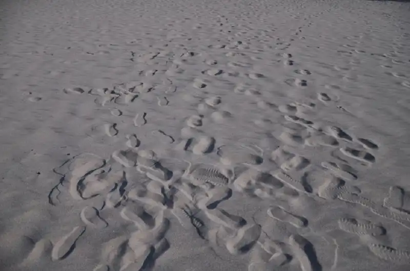 Doi cat-wanderlusttips4