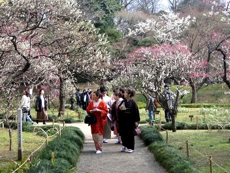 Hành trình thưởng lãm hoa xuân 7 Hoa mo Nhat Ban-wanderlusttips