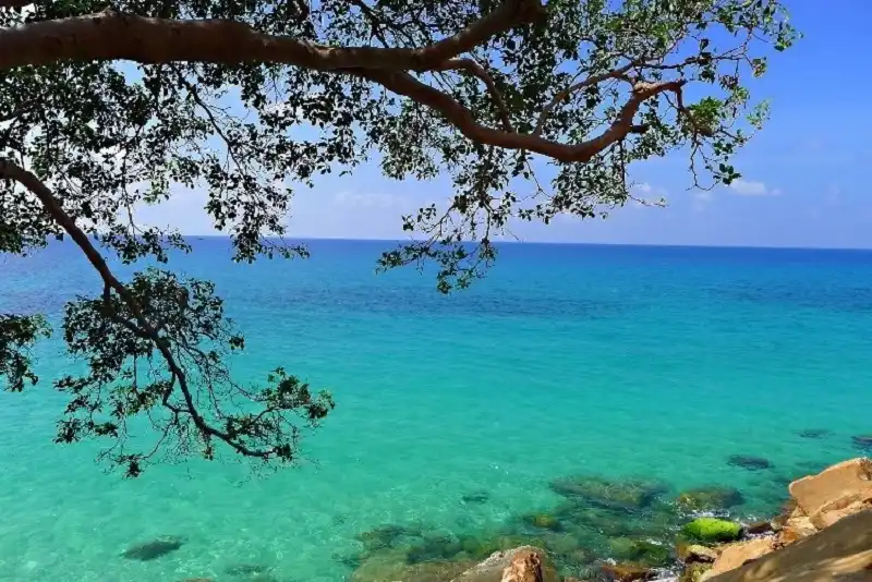 Tho Chu-wanderlusttips