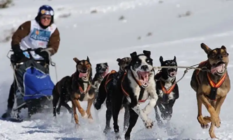 Những môn thể thao đặc sắc gắn liền với cái lạnh dưới 0 độ C 6 anh-the-thao-mua-tuyet-roi-wanderlusttips1