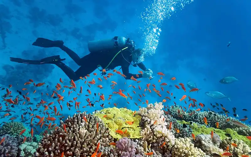 bahamas-wanderlusttips1