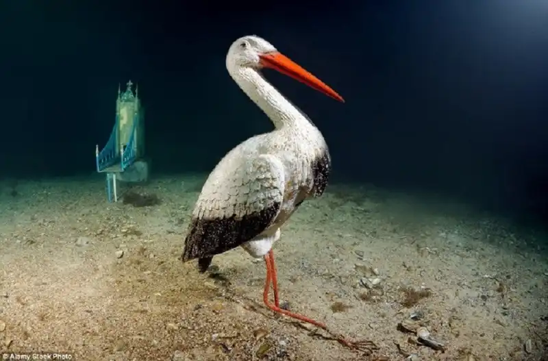 baotang-wanderlusttips4