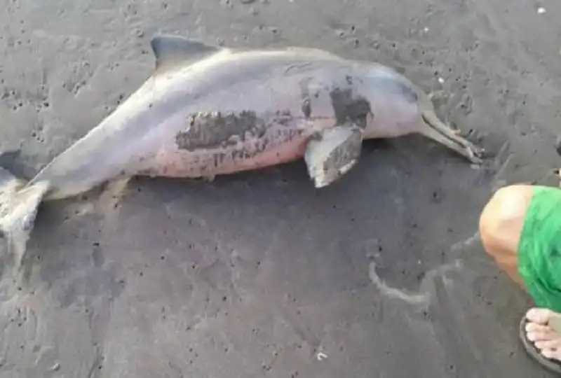 ca heo-wanderlusttips1