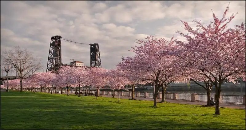 10 gợi ý về thời gian và địa điểm ngắm hoa anh đào năm 2016 8 cam-nang-cho-mua-hoa-anh-dao-nam-2016-wanderlusttips3