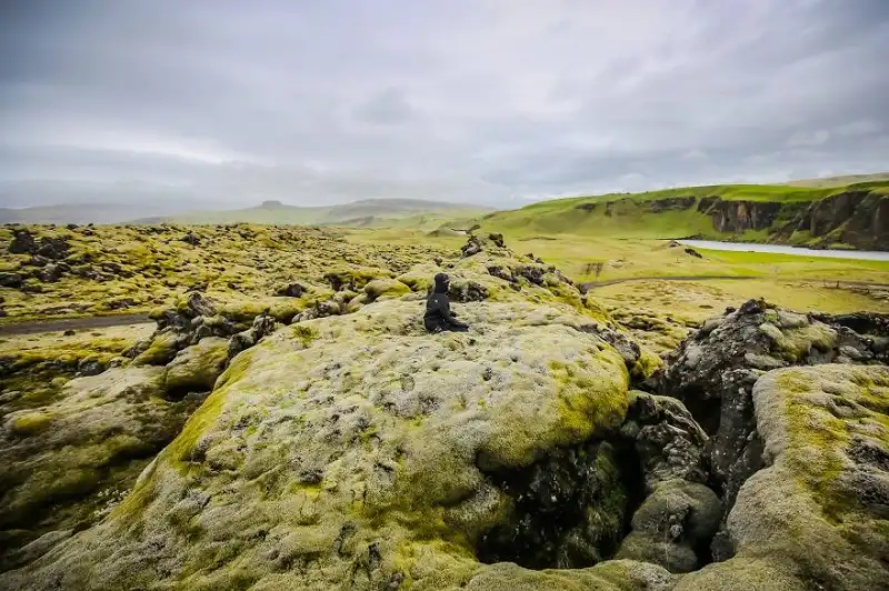 Du lịch vòng quanh thế giới với chiếc xe tải cũ 11 Ngắm những mảng màu xanh lá cây ở Iceland ...