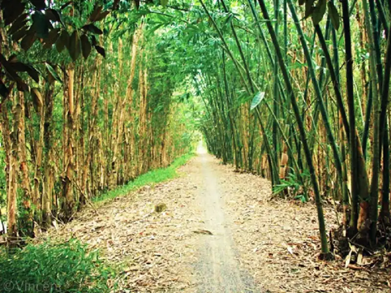 Khám phá những cung đường đẹp như mơ tại Việt Nam 13 cung duong-wanderlusttips8