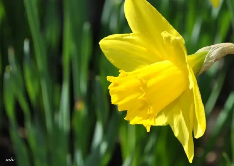 du lich thang 3-wanderlusttips9