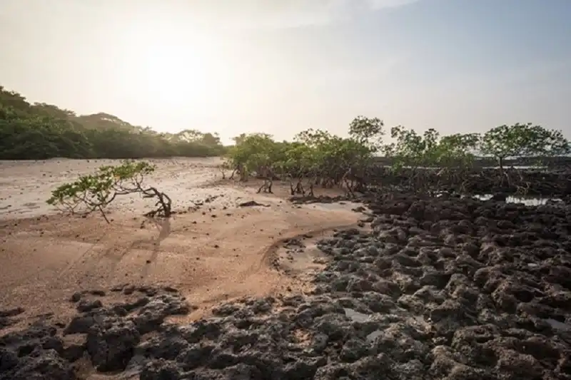 Guinea Buissau hoang dã và kỳ bí 16 guinea_bissau_wanderlusttips11