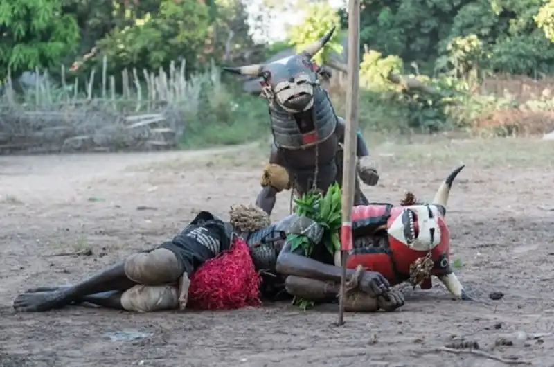 Guinea Buissau hoang dã và kỳ bí 22 guinea_bissau_wanderlusttips17