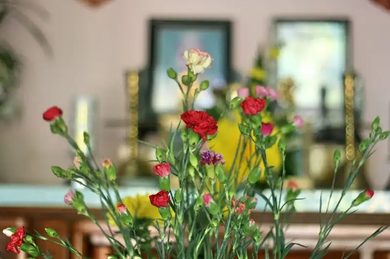 Hái lộc đêm giao thừa may mắn cho cả năm 7 hai-loc-wanderlusttips2