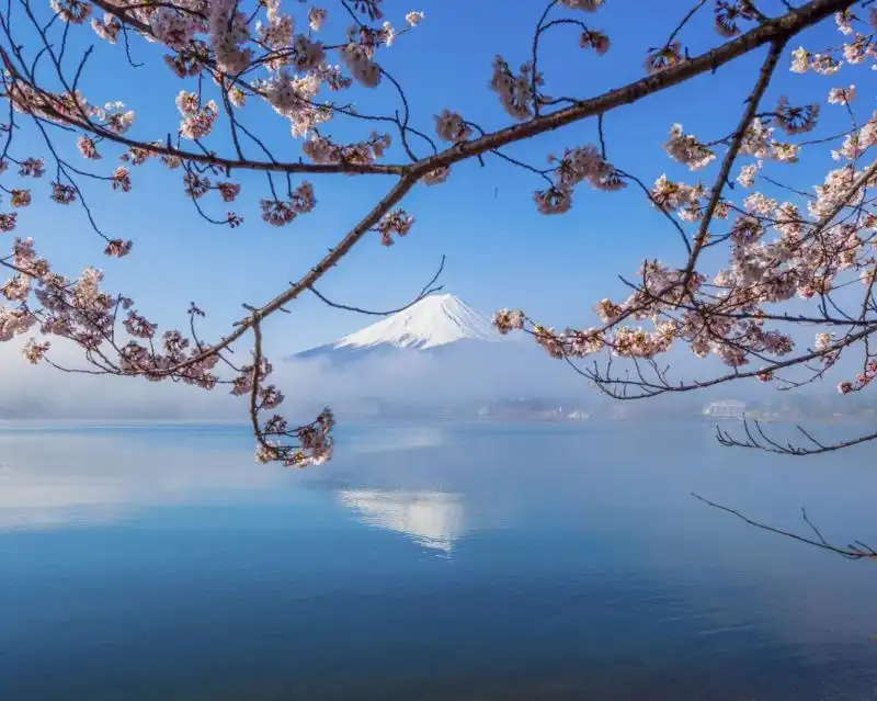 Những lưu ý khi du lịch Nhật Bản mùa hoa anh đào 6 kinh-nghiem-dl-nhat-hoa-anh-dao-wanderlusttips2