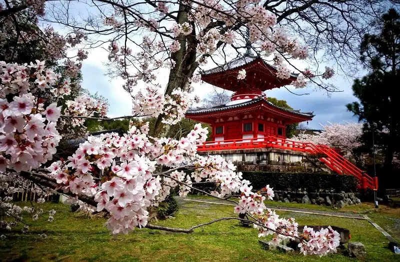 Kinh nghiệm du lịch Tết Nguyên đán 7 kinh-nghiem-dl-tet-wanderlusttips2