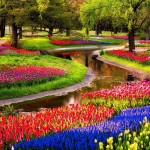 le hoi Keukenhof wanderlusttips