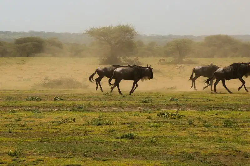 noi-nao-du-lich-valentine-wanderlusttips4