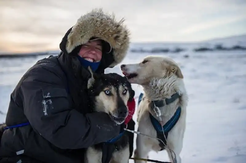 siberian-husky-wanderlusttips1