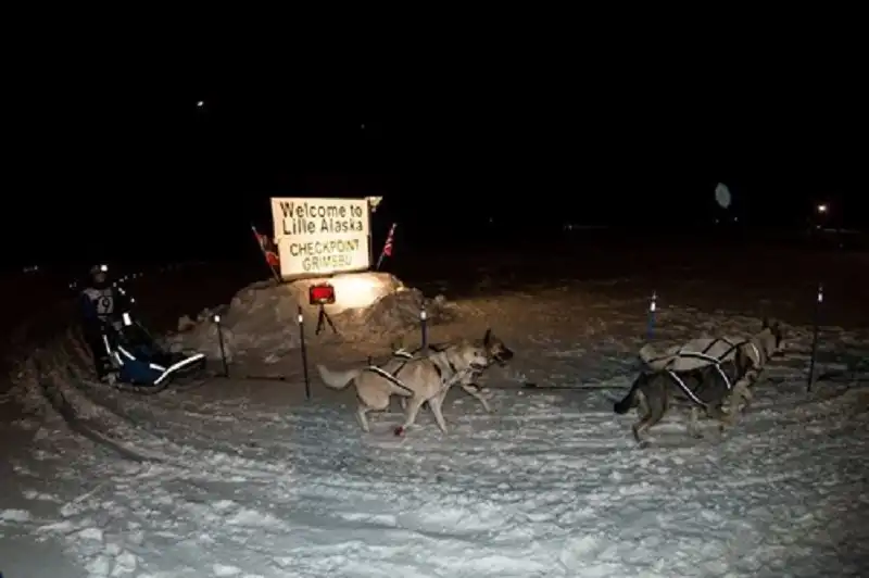 siberian-husky-wanderlusttips7