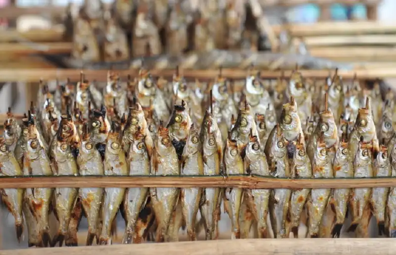 thung-nai-wanderlusttips10