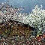 6 điểm đến tuyệt đẹp chốn vùng cao dịp Tết Bính Thân