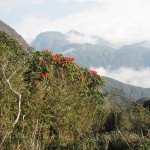 cung phuot 8 3 wanderlusttips2