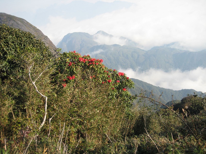 3 cung phượt hấp dẫn cho ngày 8-3