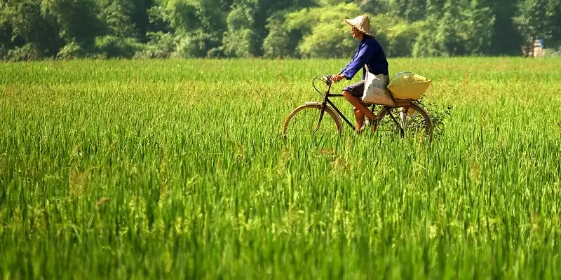 diem-den-du-lich-mot-minh-wanderlusttips3