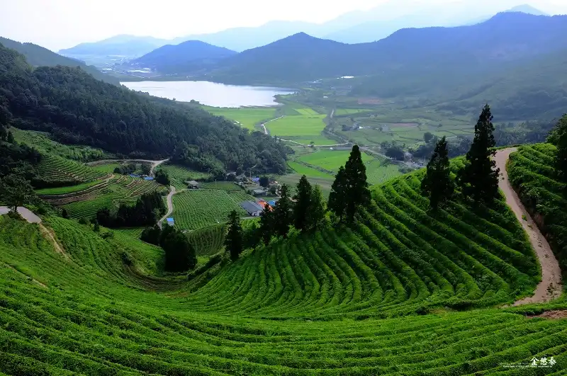 han-quoc-wanderlusttips3