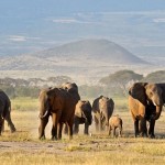 kenya wanderlusttips