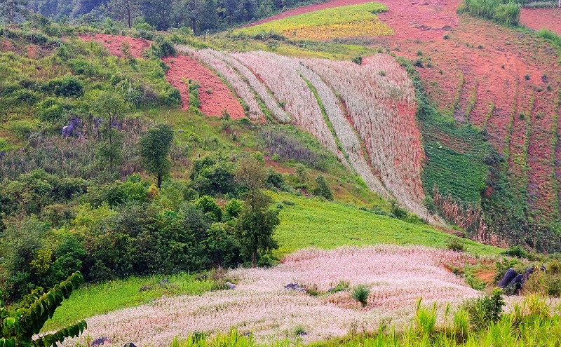 thung lung sung la wanderlusttips