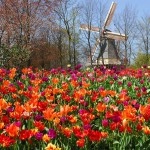 wanderlust Keukenhof 1