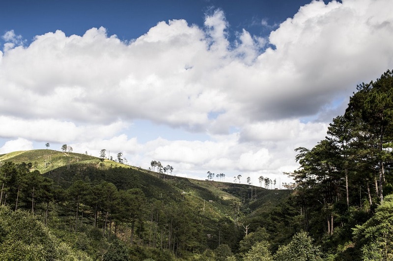 Da Lat wanderlusttips