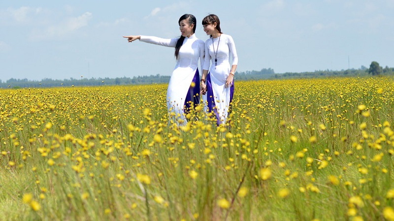 Về Tràm Chim ngắm cánh đồng hoa hoàng đầu ấn đua sắc