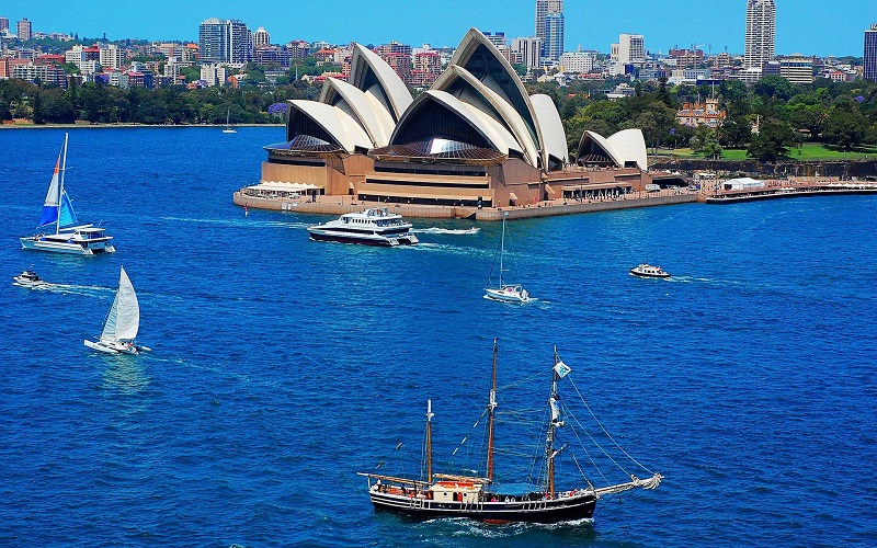 Khám phá xứ sở chuột túi kangaroo 5 Uc wanderlusttips