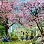du lich ha giang wanderlusttips