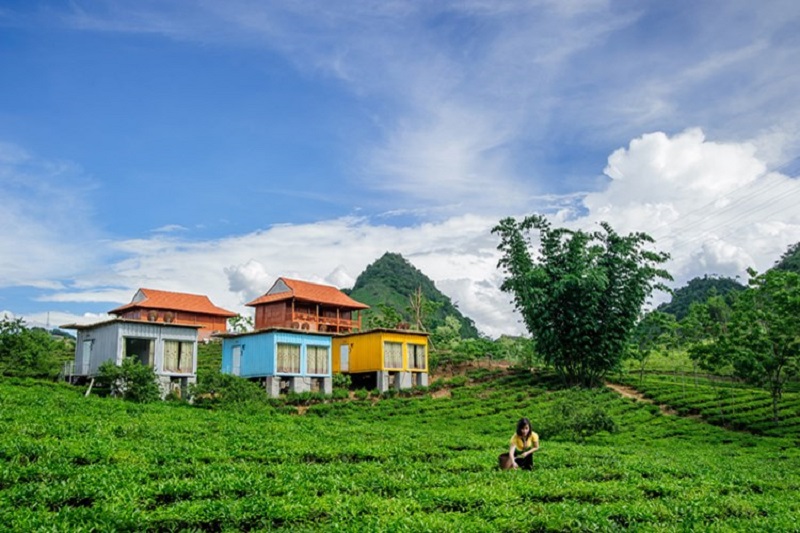 du xuan cao nguyen moc chau wanderlusttips