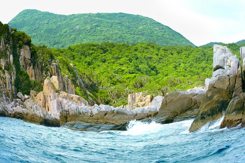 Một thoáng dịu dàng biển xanh Ninh Chữ