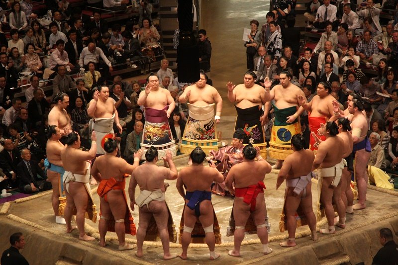 Những lưu ý khi tham quan lò luyện sumo ở Nhật Bản 5 sumo nhat ban wanderlusttips