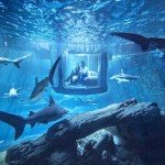 wanderlusttips dich vu ngu cung ca map