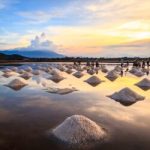 ngo ngang truoc ve dep cua lang nghe muoi bao thuan wanderlusttip 1.2