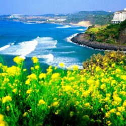 3 ngay hen ho cung dao Jeju wanderlusttips 1