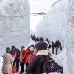 tinh khoi tateyama wanderlusttips