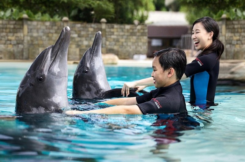 5 điểm vui chơi thú vị cho trẻ em tại Singapore hè 2016 5 điểm vui chơi thú vị cho trẻ em tại Singapore hè 2016