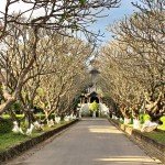 9 diem dl kon tum wanderlusttips