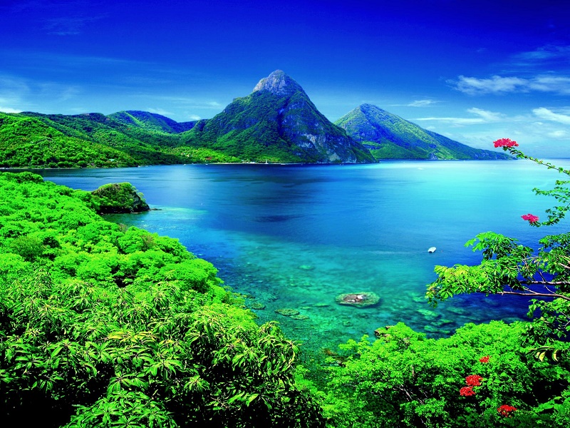 Saint Lucia – thiên đường xanh của Trái Đất