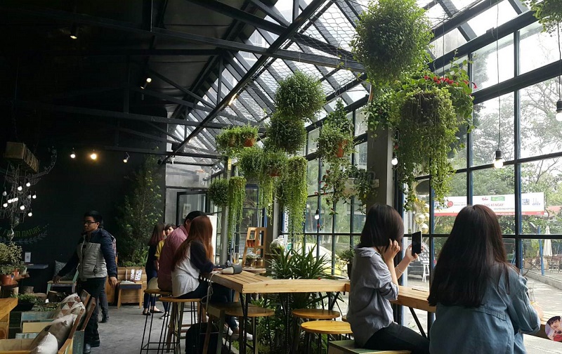 Ấn tượng 2 quán cafe xanh mướt giữa lòng Hà Nội