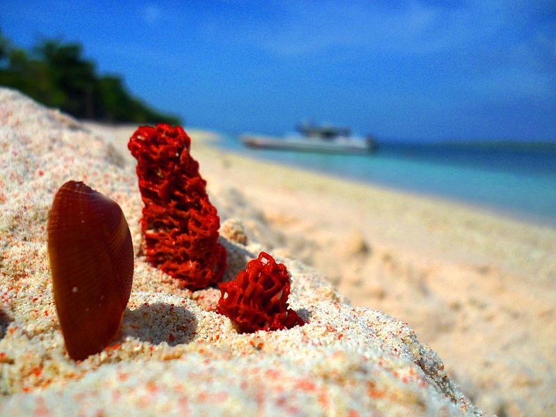 Mê đắm bãi biển màu hồng kì lạ ở đảo lớn Santa Cruz 5 me dam bai bien mau hong o dao lon Santa Cruz wanderlusttips 4